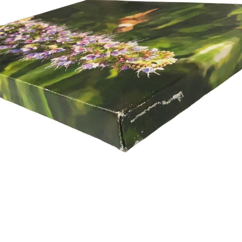 Art Prints Springtime Nectar Hummingbird Photo Strokes 8x10 Wall Mounted Canvas - Picture 3 of 4